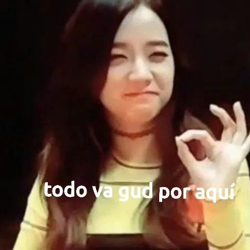 BLACKPINK MEMES - Sticker 13