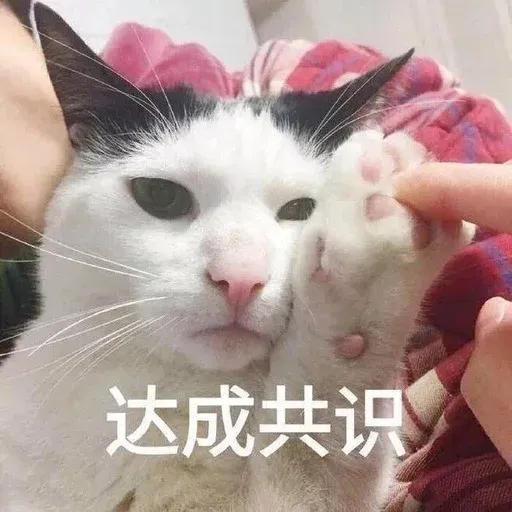 CuteCat3 - Sticker 16