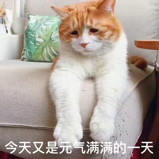 CuteCat3 - Sticker 17