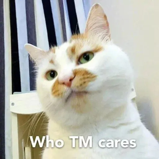 CuteCat3 - Sticker 9