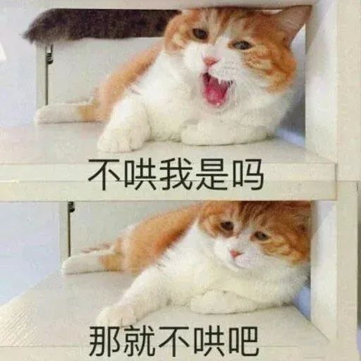 CuteCat3 - Sticker 11