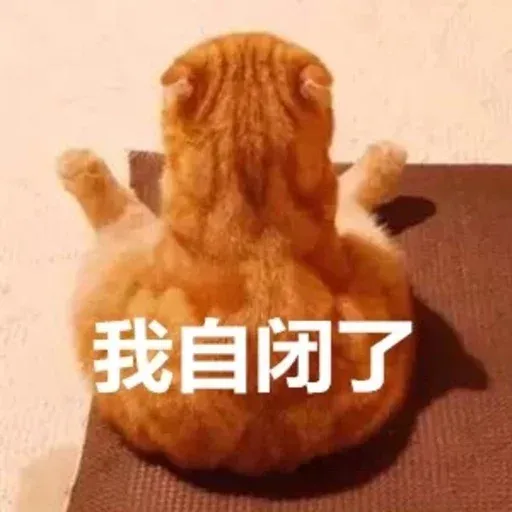 CuteCat3 - Sticker 25