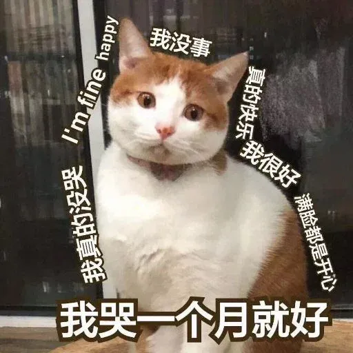 CuteCat3 - Sticker 29