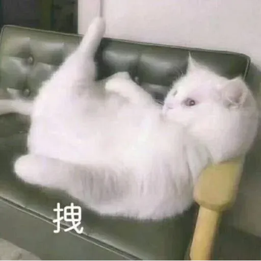 CuteCat3 - Sticker 30