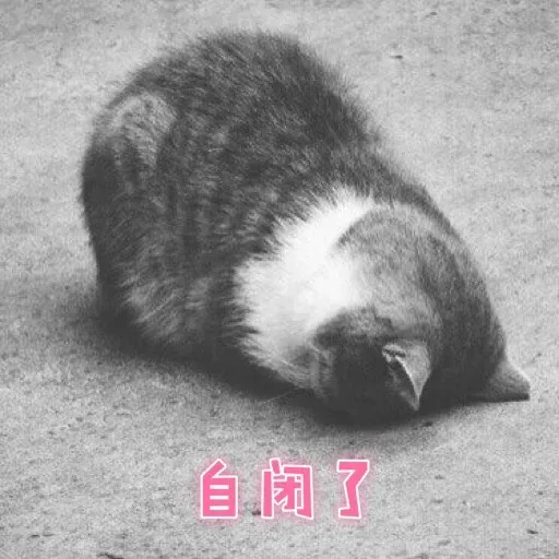 CuteCat3 - Sticker 27