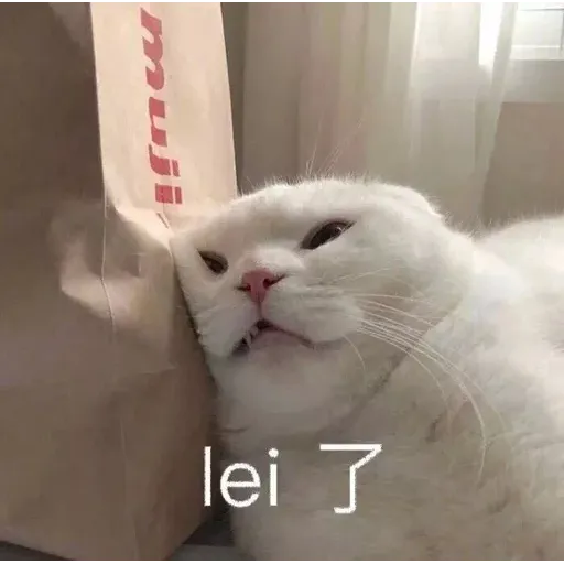 CuteCat3 - Sticker 21