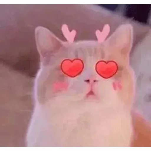 CuteCat3 - Sticker 14