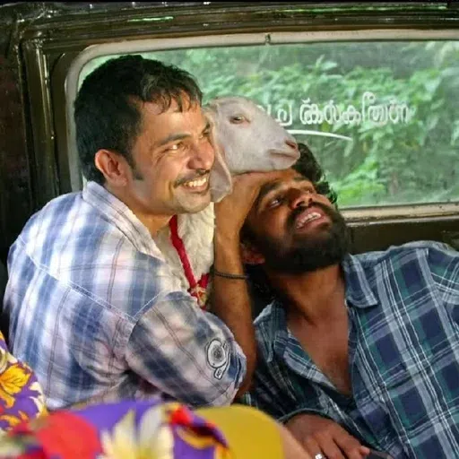 Shaji - Sticker 20