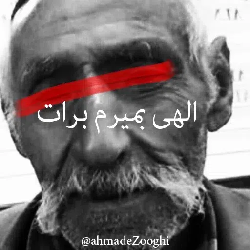 khoshgela - Sticker 17