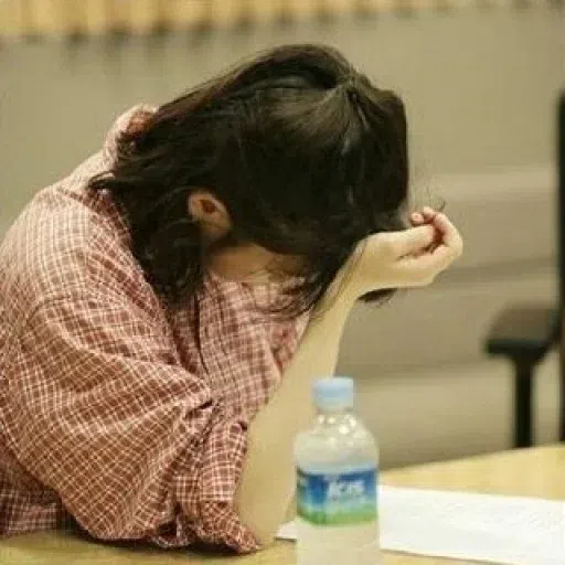 IU Stickers - Sticker 23