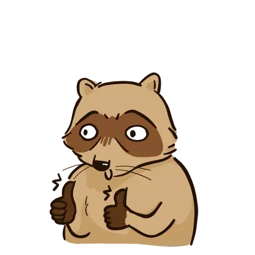 New Raccoon - Sticker 13