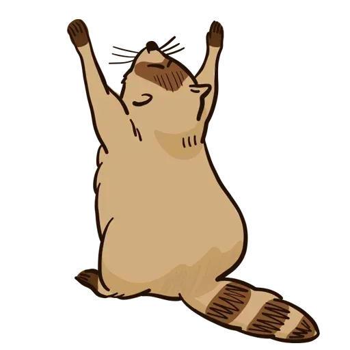 New Raccoon - Sticker 12