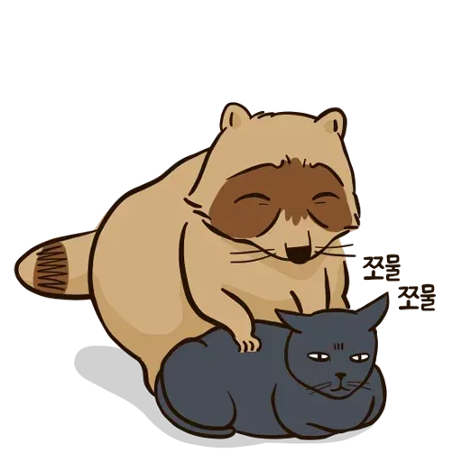 New Raccoon - Sticker 10
