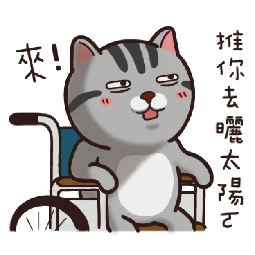 Cat - Sticker 16
