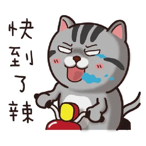 Cat - Sticker 21