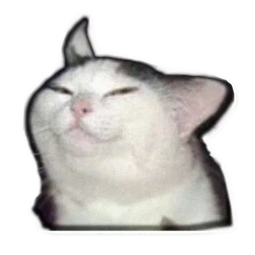 Fuckats - Sticker 10