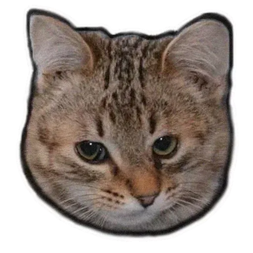 Fuckats - Sticker 22
