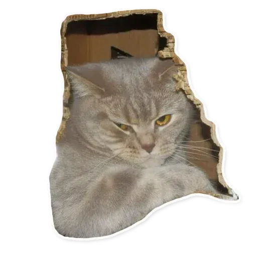 Fuckats - Sticker 29