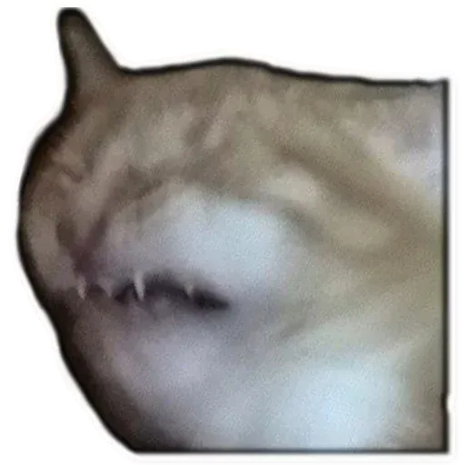 Fuckats - Sticker 9