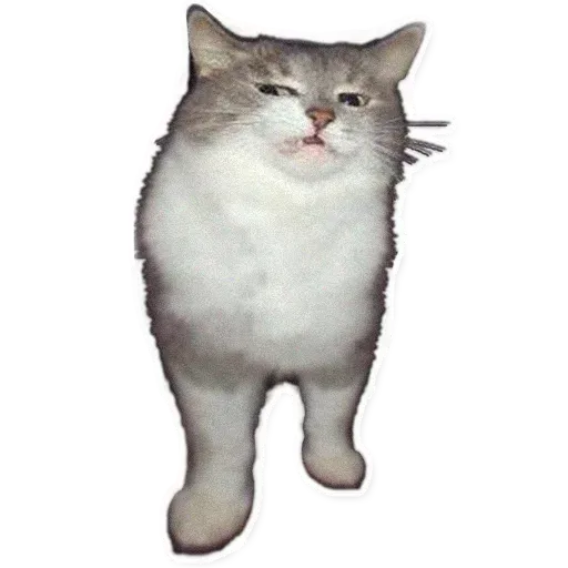 Fuckats - Sticker 14