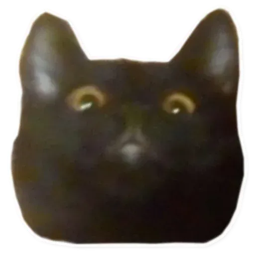 Fuckats - Sticker 20
