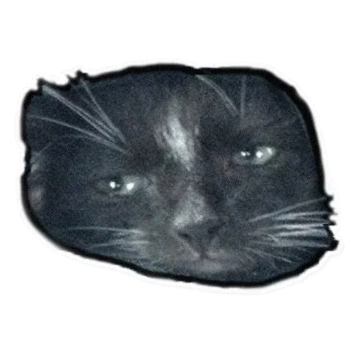 Fuckats - Sticker 19