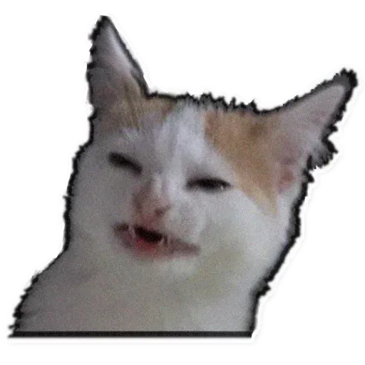 Fuckats - Sticker 25