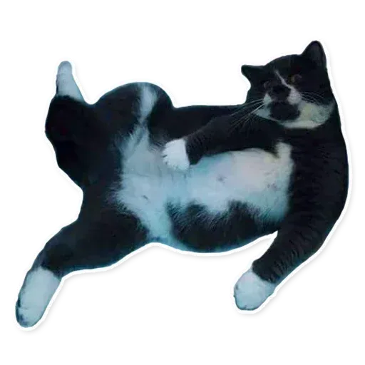Fuckats - Sticker 21