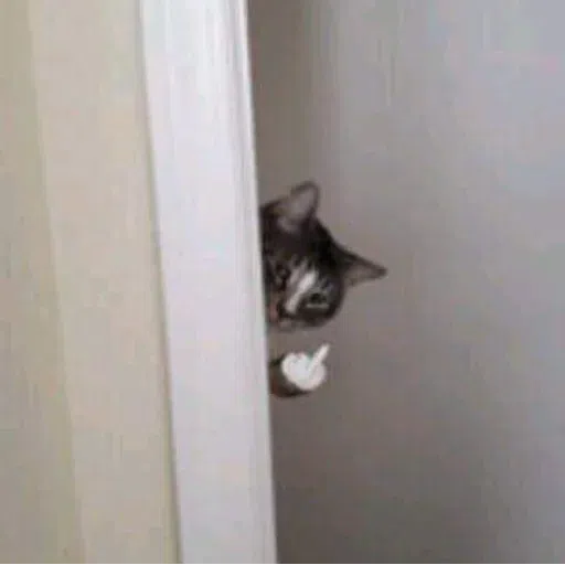 cat - Sticker 16