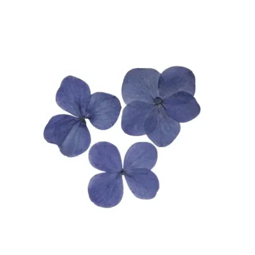 Different - Sticker 23