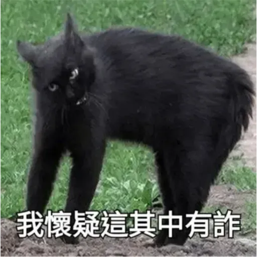 喵 - Sticker 12