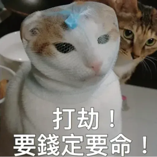 喵 - Sticker 13