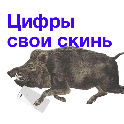 Kabanchikom - Sticker 21