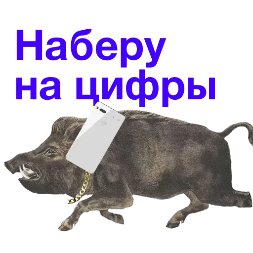 Kabanchikom - Sticker 9