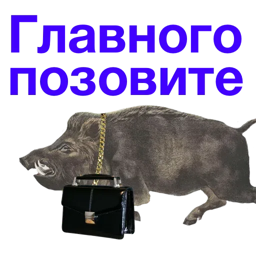 Kabanchikom - Sticker 26