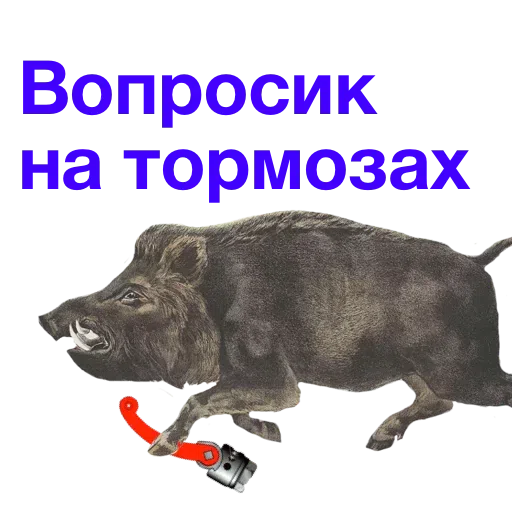 Kabanchikom - Sticker 28