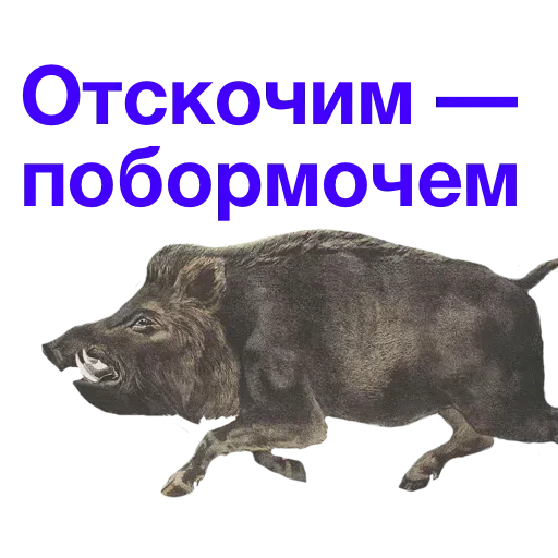 Kabanchikom - Sticker 27