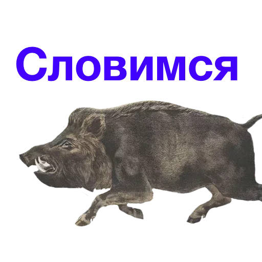 Kabanchikom - Sticker 14