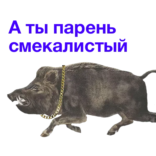 Kabanchikom - Sticker 18