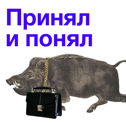 Kabanchikom - Sticker 29