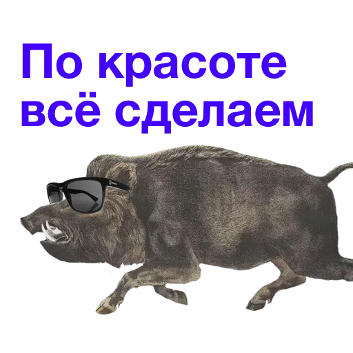 Kabanchikom - Sticker 24