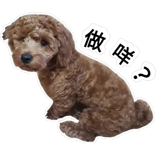 💗豆豆BB💗 - Sticker 17