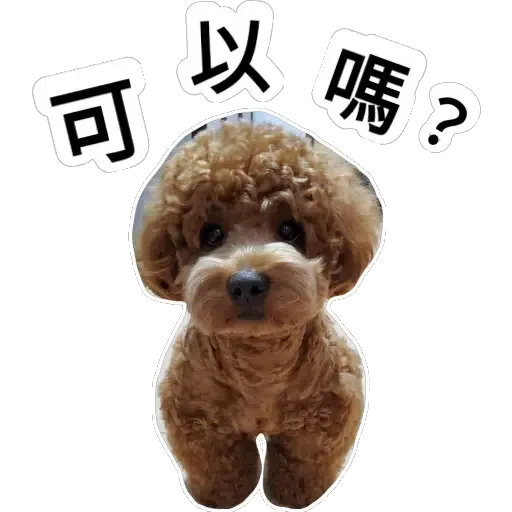 💗豆豆BB💗 - Sticker 23
