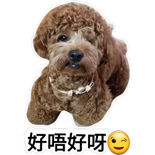 💗豆豆BB💗 - Sticker 13
