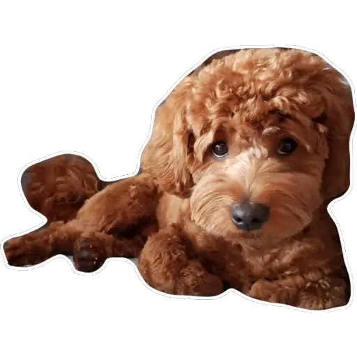 💗豆豆BB💗 - Sticker 18