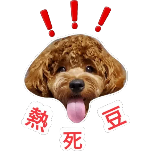 💗豆豆BB💗 - Sticker 30
