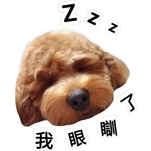 💗豆豆BB💗 - Sticker 15