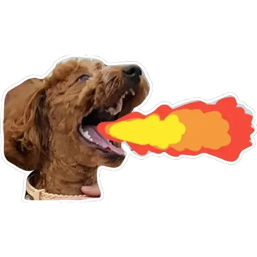 💗豆豆BB💗 - Sticker 29
