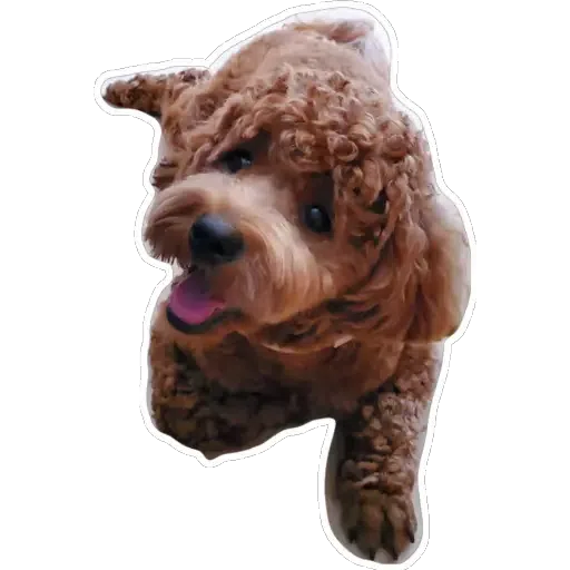💗豆豆BB💗 - Sticker 26