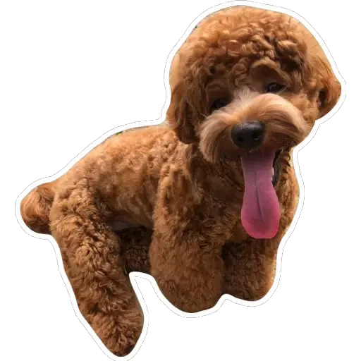 💗豆豆BB💗 - Sticker 28